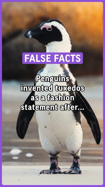 Penguins invented tuxedos as a fashion statement after observing humans