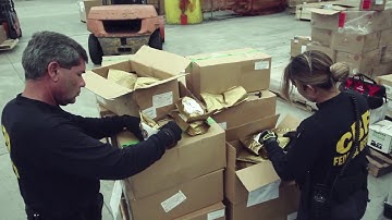 USCBP Office of Field Operations Montage