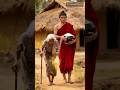 Khi ông lão dâng gạo trong tay lên Đức Phật. | Buddhism #Buddha #Buddhism