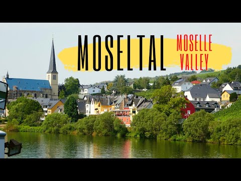 Schifffahrt auf der Mosel von Traben-Trarbach nach Bernkastel-Kues | Das Moseltal | Moselle Valley
