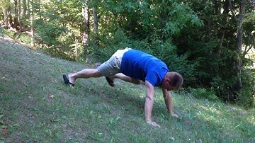 22 pushup challenge day 3
