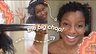 MY BIG CHOP | 4c hair ✂️👩🏾‍🦱