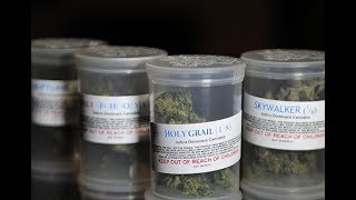 Politician References Satirical Article While Arguing Against Medical Pot