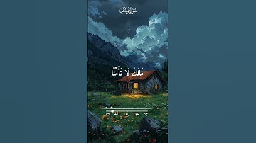 أرح سمعك وقلبك تلاوة خاشعة 🎧🥹🤍🌿 القارئ الشيخ #محمد_صديق_المنشاوي 🌿