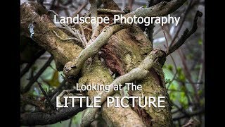 Landscape Photography...Looking at the Little Picture
