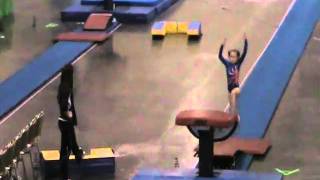 Flip Fest 2011 Level 5 Vault 1 2Nd Place 8.950