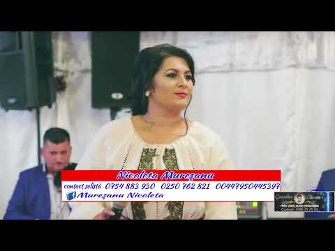 Nicoleta Muresanu - Sarac si bogat e greu | Omule nu sti sa te pretuiesti | Mergi dupa bani