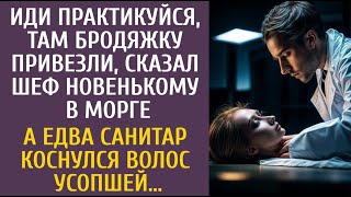 видео: Иди практикуйся на бродяжке, - сказал шеф новенькому в морге… А едва санитар коснулся волос усопшей… картинка: Иди практикуйся на бродяжке, - сказал шеф новенькому в морге… А едва санитар коснулся волос усопшей…