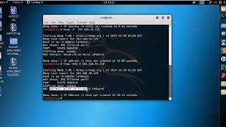 Avoiding Scanning Detection Using Multiple Decoy IP Addresses