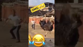 Hilarious Real-Life Fails You Won’t Believe! 😂”.                                          #shorts