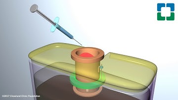 Controlled Substance Disposal System