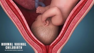 Normal Vaginal Childbirth | Normal Vaginal Delivery Explained