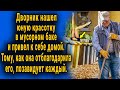 Дворник нашел красотку в мусорном баке и привел ее домой. То, как она отблагодарила, поражает.