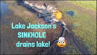 Lake Jackson's SINKHOLE drained the lake!
