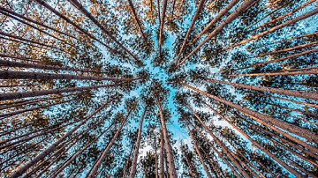 SATURN 2017 Talk: Deep Learning for Software Development