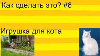 Как сделать самую лучшую игрушку для кота дома Как сделать самую лучшую игрушку для кота дома