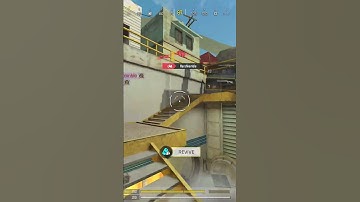 They Had One Job: Camp The Dog Tags.I Had One Job: Delete Them.🌝| #codm #shorts