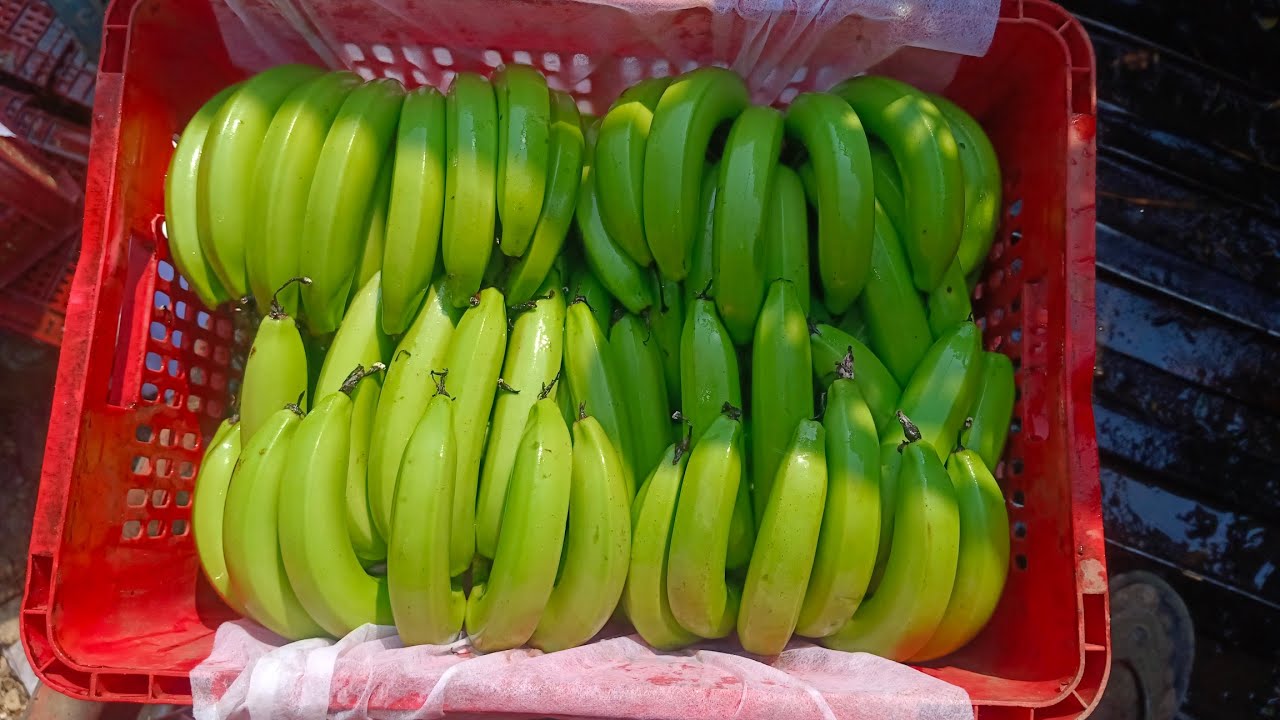 MFC Export Quality Bananas Packing&Cutting Videos Indian All Fruit Packing