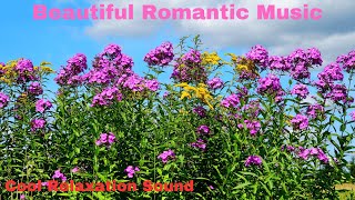 Beautiful Romantic Music# Sentimental Music# Beautiful Relaxing Melody# You Can Listen This Forever