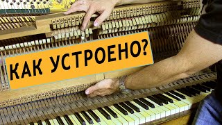 'Фортепиано ДЛЯ ВСЕХ'. Урок 1. Как устроено акустическое пианино?