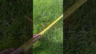 Never Drill Holes 🕳️ With An Auger Near Utilities #Fencecontractor #Digging #Fencebuilding