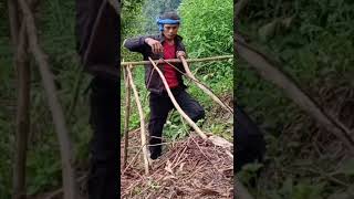 MAKING A SHELTER (BIVOCK) IN THE FOREST, BUSHCRAFT INDONESIA