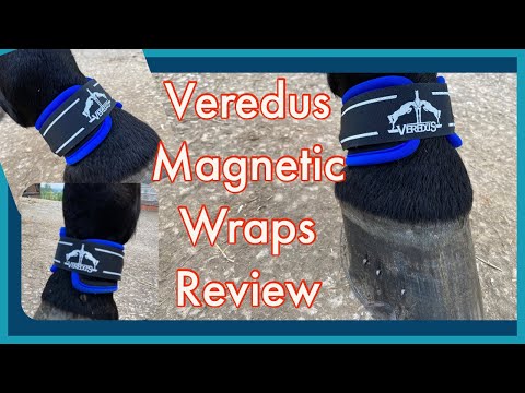 MAGNETIC HORSE BOOTS/WRAPS | Equestrian - YouTube