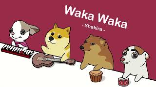 Shakira - Waka Waka (This Time for Africa) (cover by Bongo Dog) 🐶