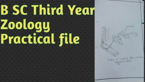 B.SC Third year, Zoology Practical file