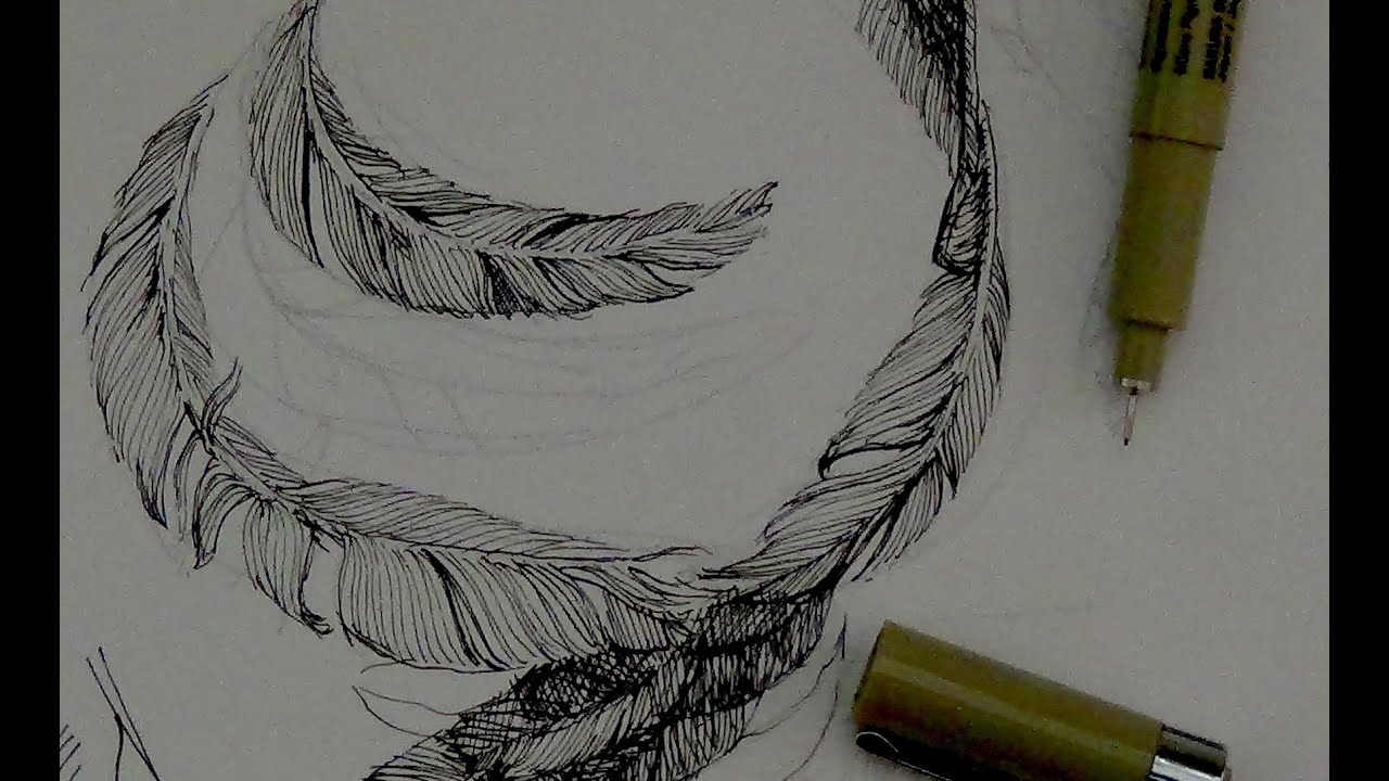 Pen & Ink Drawing Tutorials | How to draw feathers with pen & ink - YouTube