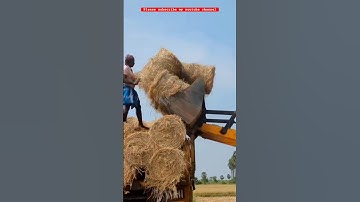 Paddy Straw Bundle Loading #new#jcbvideos #truck