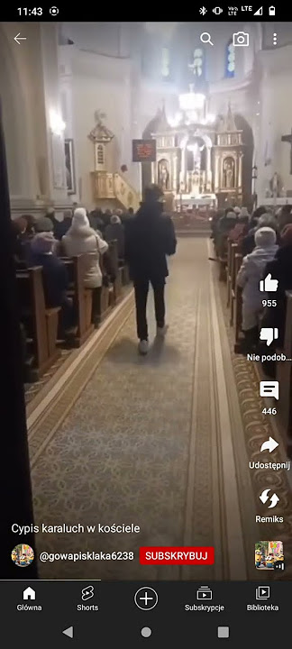 Cypis karaluch na głośniku w kościele *CZYTAJ OPIS*