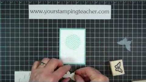 Elegant Butterfly Reverse Masking