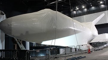 Space Shuttle Atlantis Exhibit Detailed Hard Hat Tour at NASA