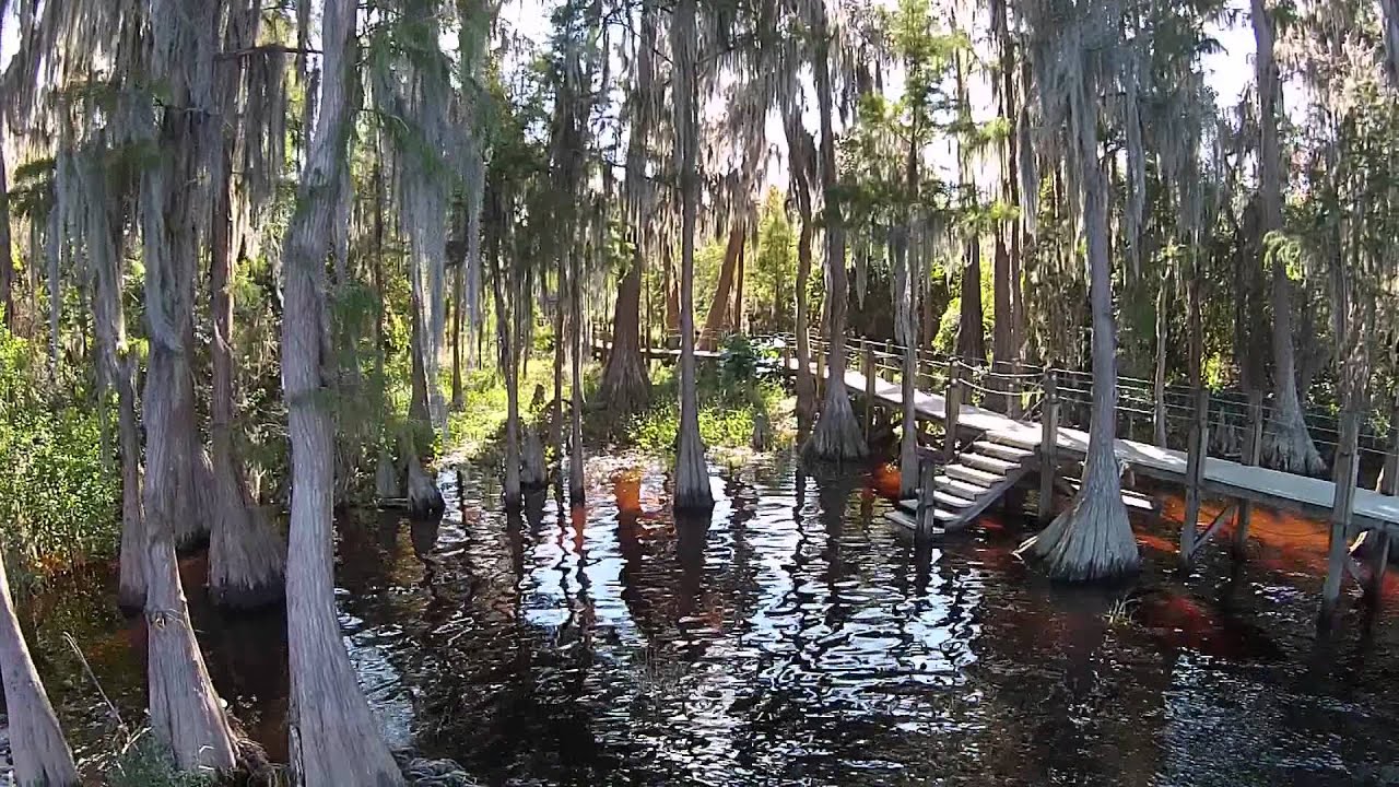 Osprey Pointe Video YouTube