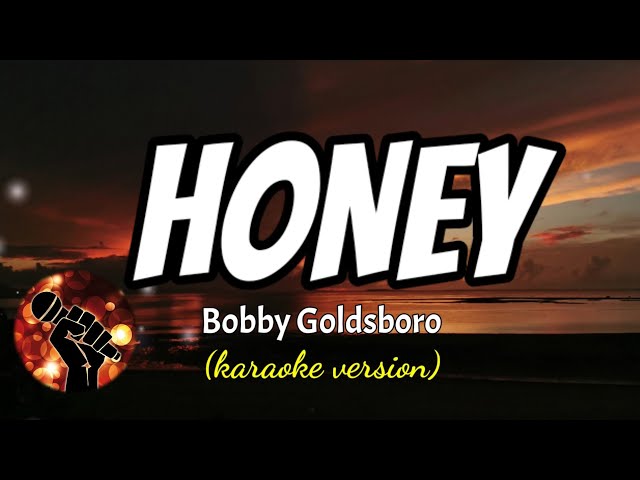 HONEY - BOBBY GOLDSBORO (karaoke version) class=
