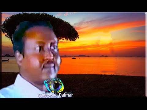 Lezbiyenlar kokraklarini ishqalaydilar Qora ayollar qinlarining yaqindan korinishi