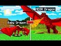 LIFE OF A FIRE DRAGON IN MINECRAFT!