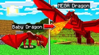 LIFE OF A FIRE DRAGON IN MINECRAFT!