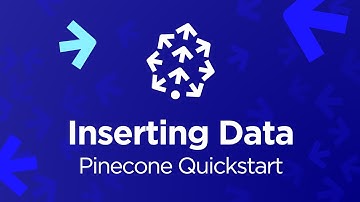 Pinecone #3 - Inserting Data