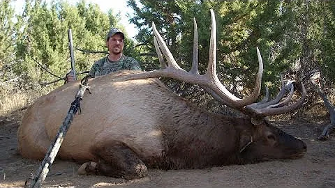 Muzzleloader Bull Elk Hunt 381" - Nate Young - MossBack