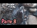 Mis Gallinas - Parte 8 ????????????