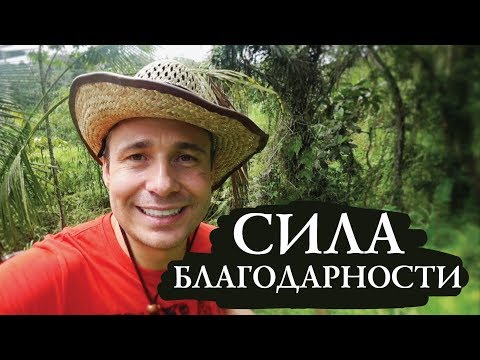 Сила Благодарности / Мой Ритуал / Оскар Хартманн