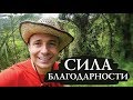 Сила Благодарности / Мой Ритуал / Оскар Хартманн