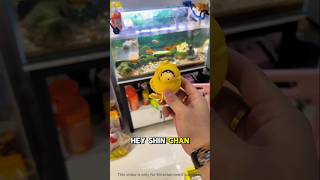 Shinchan the Fish Forgot How to Swim?! 😂🐟🌊 #shorts