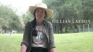 Famous Wilderness Horse Camping Workshops Profile