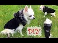 DIY Doggie Winter Coat | Cruelty Free | Including Pattern Construction