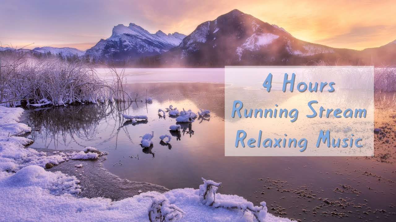 🌊 Babbling STREAM (4 Hours) Nature Ambience