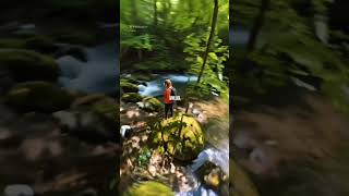 3D Surround Shot AI Effect on Insta360 X5 &amp; Rezervaţia Naturală Cheile Tişiţei