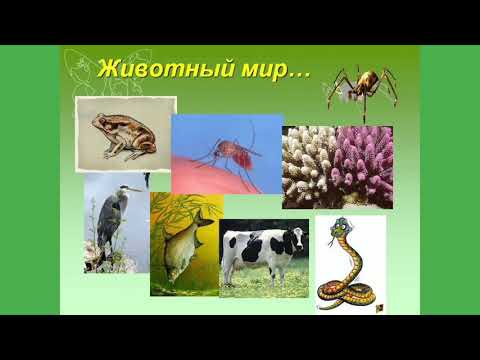 БИОЛОГИЯ 5 КЛАСС.Царство животных.